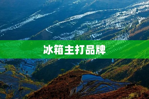 冰箱主打品牌:如何选择最适合自己的品牌? 冰箱主打品牌:如何选择最适合自己的品牌?