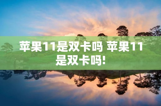 苹果11是双卡吗 苹果11是双卡吗!