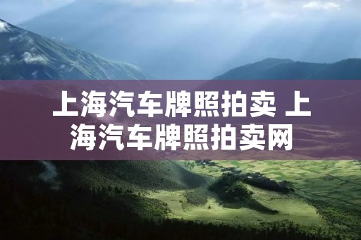 上海汽车牌照拍卖 上海汽车牌照拍卖网