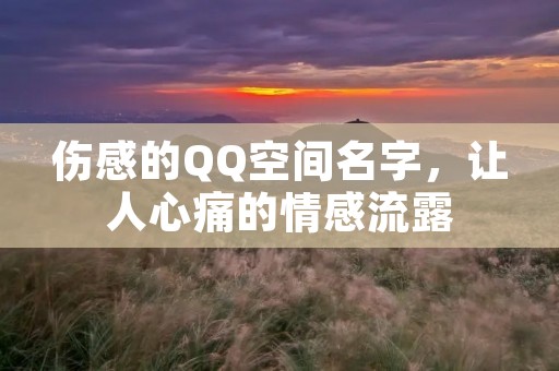伤感的QQ空间名字,让人心痛的情感流露