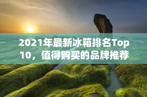 2021年最新冰箱排名Top10，值得购买的品牌推荐