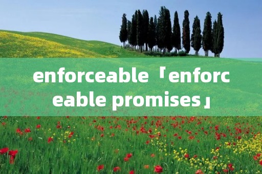 enforceable「enforceable promises」 enforceable「enforceable promises」