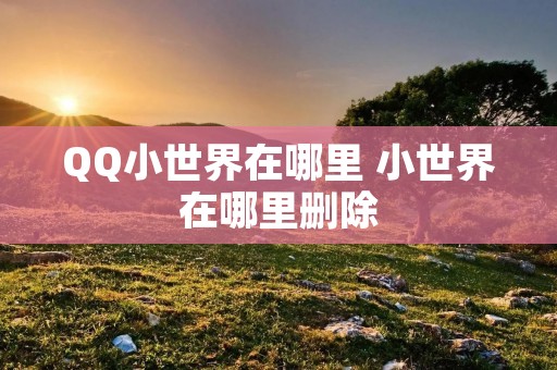 QQ小世界在哪里 小世界在哪里删除 QQ小世界在哪里 小世界在哪里删除
