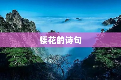 樱花的诗句