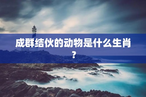 成群结伙的动物是什么生肖？