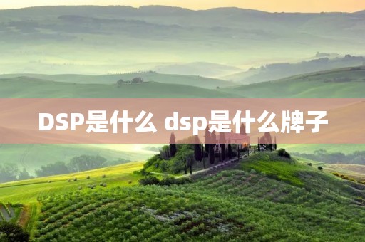 DSP是什么 dsp是什么牌子 DSP是什么 dsp是什么牌子