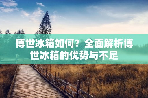 博世冰箱如何？全面解析博世冰箱的优势与不足