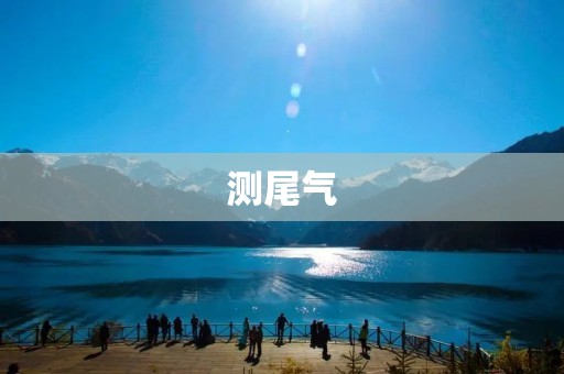 测尾气：为环保出一份力