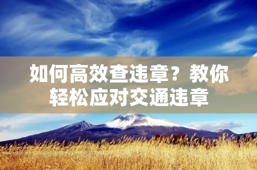 如何高效查违章?教你轻松应对交通违章 如何高效查违章?教你轻松应对交通违章