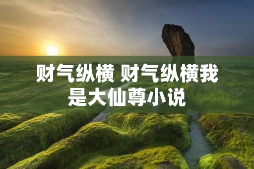 财气纵横 财气纵横我是大仙尊小说