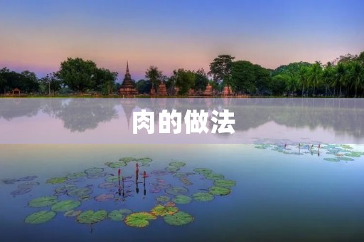 肉的做法:让你的肉菜更加美味 肉的做法:让你的肉菜更加美味