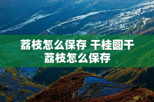 荔枝怎么保存 干桂圆干荔枝怎么保存