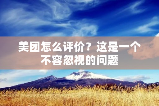 美团怎么评价？这是一个不容忽视的问题