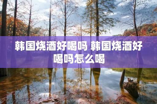 韩国烧酒好喝吗 韩国烧酒好喝吗怎么喝