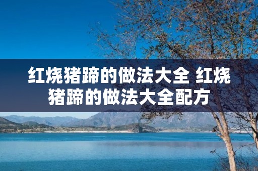 红烧猪蹄的做法大全 红烧猪蹄的做法大全配方