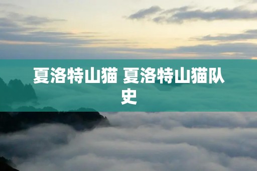 夏洛特山猫 夏洛特山猫队史