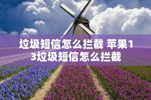 垃圾短信怎么拦截 苹果13垃圾短信怎么拦截