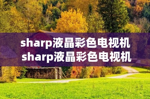 sharp液晶彩色电视机 sharp液晶彩色电视机花屏