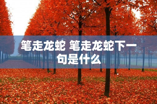 笔走龙蛇 笔走龙蛇下一句是什么