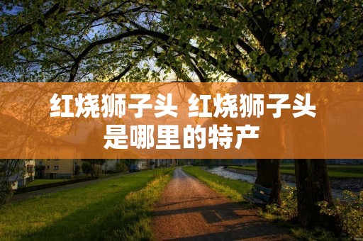 红烧狮子头 红烧狮子头是哪里的特产