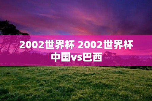 2002世界杯 2002世界杯中国vs巴西