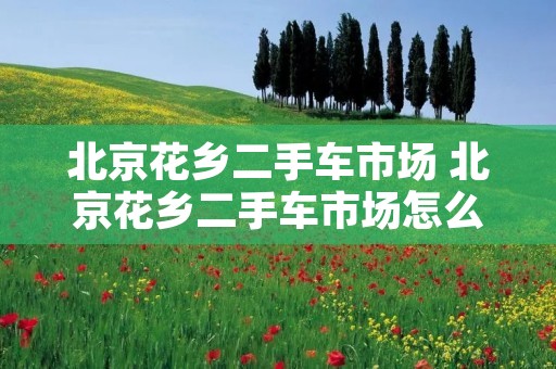 北京花乡二手车市场 北京花乡二手车市场怎么走