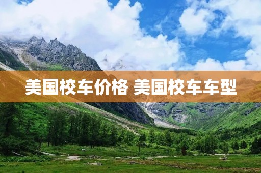 美国校车价格 美国校车车型