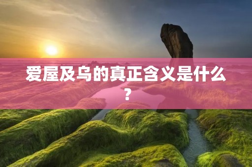 爱屋及乌的真正含义是什么? 爱屋及乌的真正含义是什么?