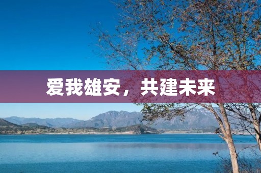 爱我雄安，共建未来