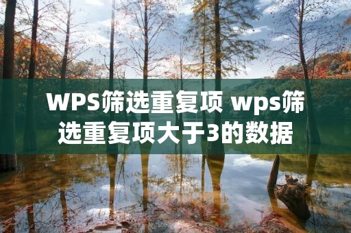 WPS筛选重复项 wps筛选重复项大于3的数据 WPS筛选重复项 wps筛选重复项大于3的数据