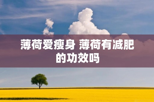 薄荷爱瘦身 薄荷有减肥的功效吗