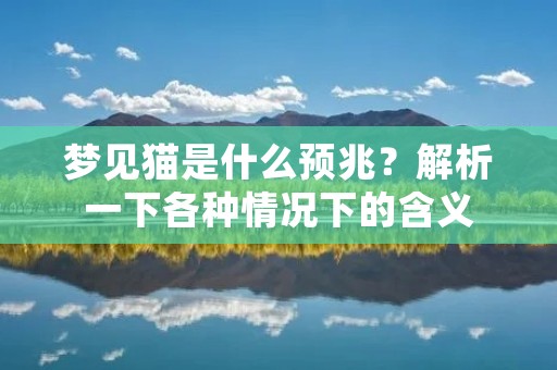 梦见猫是什么预兆?解析一下各种情况下的含义
