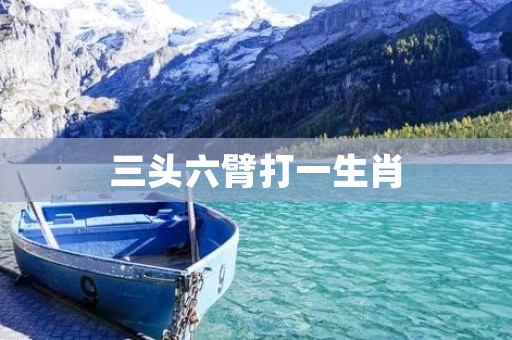 三头六臂打一生肖