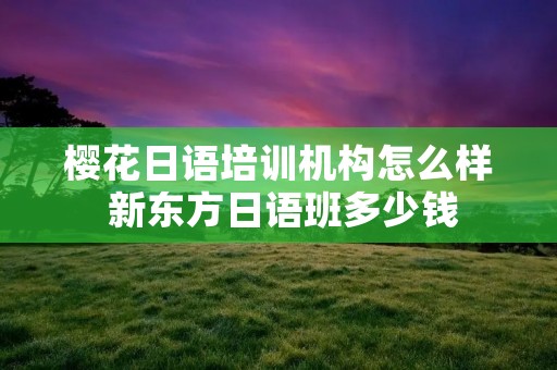 樱花日语培训机构怎么样 新东方日语班多少钱