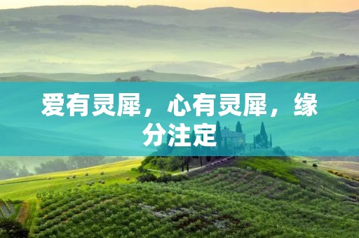 爱有灵犀,心有灵犀,缘分注定 爱有灵犀,心有灵犀,缘分注定