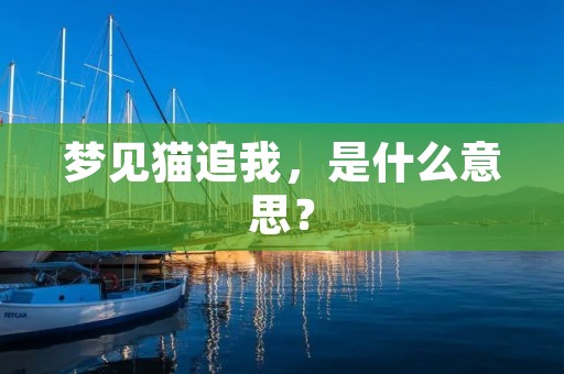 梦见猫追我,是什么意思?