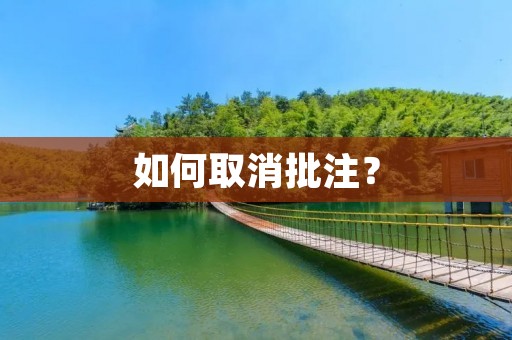 如何取消批注? 如何取消批注?