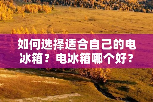 如何选择适合自己的电冰箱?电冰箱哪个好? 如何选择适合自己的电冰箱?电冰箱哪个好?