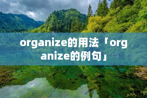 organize的用法「organize的例句」 organize的用法「organize的例句」