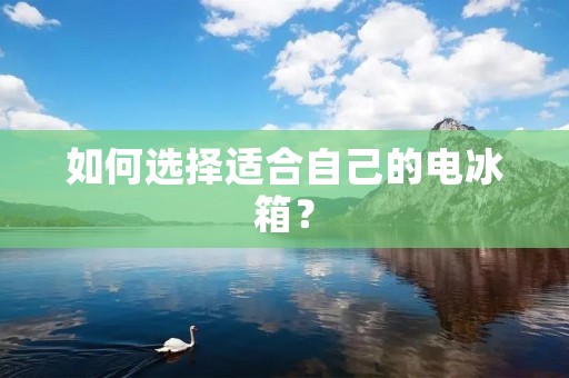 如何选择适合自己的电冰箱?