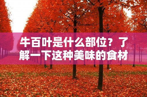牛百叶是什么部位?了解一下这种美味的食材