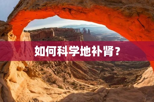 如何科学地补肾？