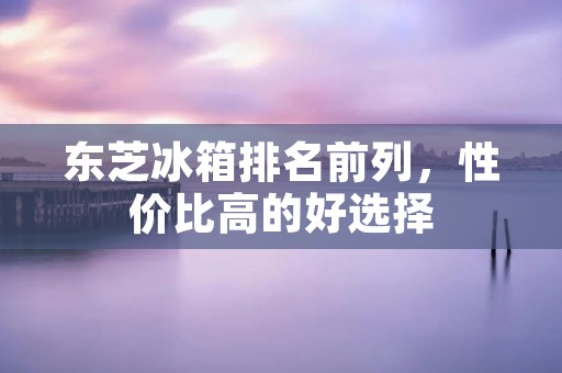 东芝冰箱排名前列,性价比高的好选择