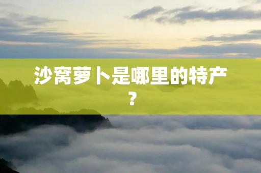 沙窝萝卜是哪里的特产?