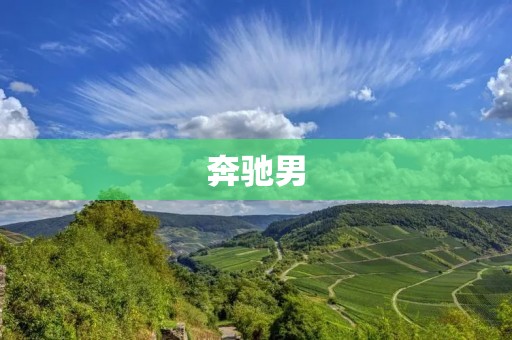奔驰男:另类的豪车文化代表 奔驰男:另类的豪车文化代表