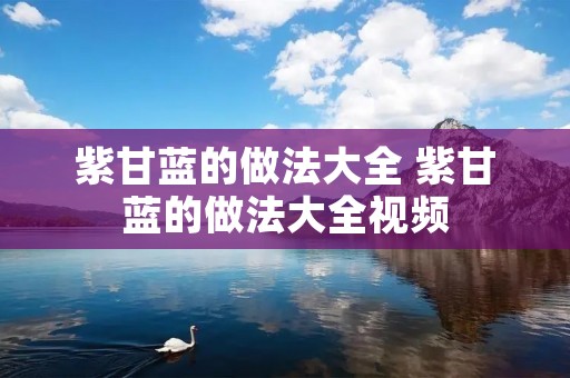 紫甘蓝的做法大全 紫甘蓝的做法大全视频