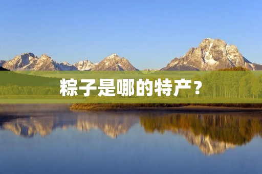 粽子是哪的特产? 粽子是哪的特产?