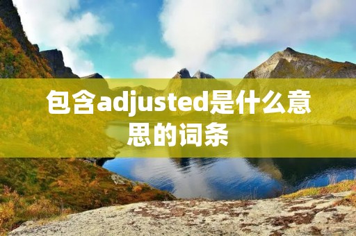 包含adjusted是什么意思的词条