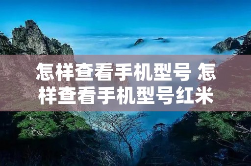 怎样查看手机型号 怎样查看手机型号红米