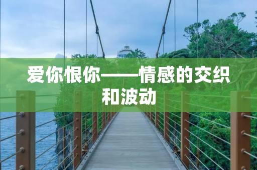 爱你恨你——情感的交织和波动